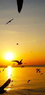 Golden sunrise with birds over a tranquil ocean scene.