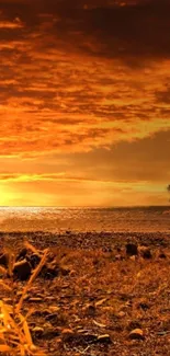 Golden sunset on a tranquil beach with vibrant skies.