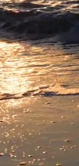 Golden sunset over ocean waves on a tranquil beach.