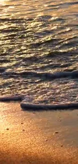 Golden sunset over gentle waves on a sandy beach.