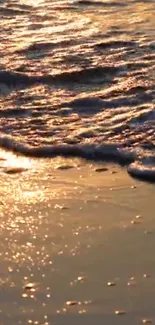 Golden sunset illuminating ocean waves on a serene beach shore.