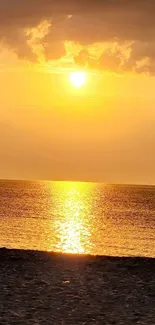 Golden beach sunset with shimmering ocean.