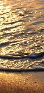 Golden sunset reflecting on beach waves with serene view.