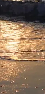 Golden sunset reflecting on a tranquil beach with gentle ocean waves.