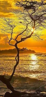 Golden sunset with tree silhouette on a tranquil beach scene.