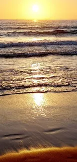 Golden sunset over a peaceful beach with gentle ocean waves.