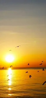 Golden sunset over ocean with birds silhouetted in flight on a mobile wallpaper.