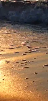 Beautiful golden sunset reflecting on a calm beach with gentle waves.