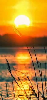 Golden sunset over a tranquil beach with serene waters and silhouette of grasses.