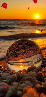 Golden sunset over beach with roses on pebbles.