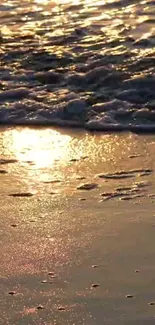 Golden sunset beach with gentle waves and ocean reflection.