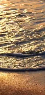 Golden waves on sandy beach at sunset.