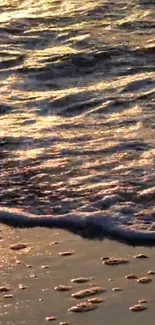 Golden sunset waves gently lapping the shore.