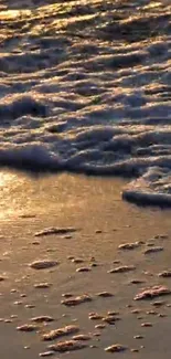 Golden sunset beach waves with foamy shoreline.