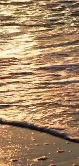 Golden sunset over tranquil beach waves and shoreline.