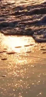 Golden sunset reflecting on beach waves with serene ocean view.