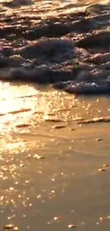 Golden sunset beach with gentle waves and sunlight reflections