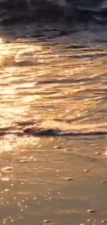 Golden sunset waves reflecting on the beach creating a serene and tranquil atmosphere.