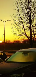 Golden sunset over a cityscape with silhouetted trees and parked cars.