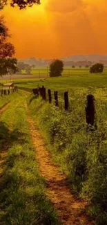 Golden sunset over a country path with lush green fields.