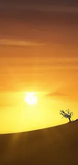 Golden sunset over desert with lone tree silhouette.