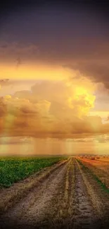 Golden sunset over rural field path with dramatic clouds.