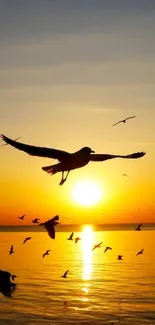 Silhouette of birds flying during a golden sunset over the ocean.