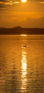 Golden sunset over a lake with a swan silhouetted on the water.