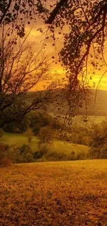 Golden sunset landscape with tree branches over a serene countryside field.