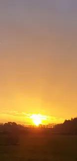 Golden sunset over lush green fields and distant hills.