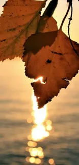 Golden leaves against a sunset over a lake with shimmering reflections.