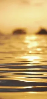 Golden sunset over ocean with reflective water surface.