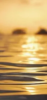 Golden sunset over ocean with calm water reflections