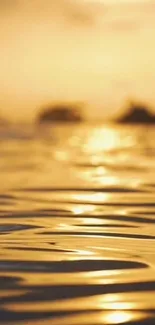 Golden sunset over tranquil ocean waters with serene reflections.