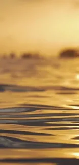 Golden sunset reflecting on ocean waves wallpaper.