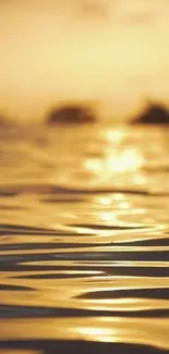 Golden sunset reflecting on water ripples creating a serene scene.