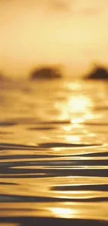 Golden sunset reflecting on calm water surface.