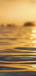 Golden sunset reflecting on tranquil water surface.