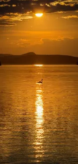 Golden sunset with reflections on a calm lake, perfect mobile wallpaper.