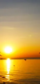 Serene sunset over water with birds silhouetted against an orange sky.