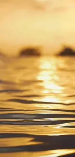 Golden sunset reflected on calm ocean waters, creating a serene atmosphere.