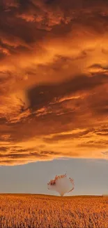 Golden sunset over a tranquil field with dramatic clouds.