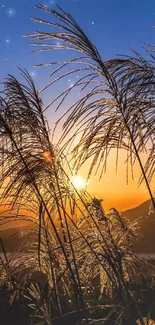 Golden sunset with silhouetted grasses and serene landscape.