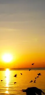 Golden sunset over ocean with flying birds and serene waters.