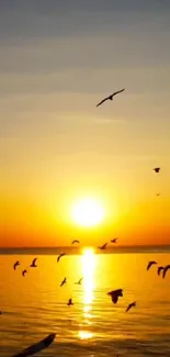 Golden sunset over the ocean with silhouetted flying birds.