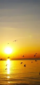 Golden sunset over the ocean with birds flying in the sky.