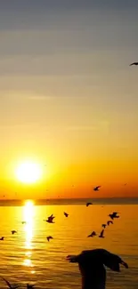 Golden sunset with birds over a serene ocean, creating a tranquil scene.