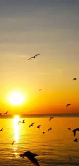 Golden sunset over the ocean with birds silhouette in the sky.