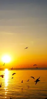 Golden sunset over ocean with flying birds.