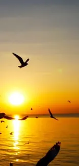 Golden sunset over ocean with birds in flight.